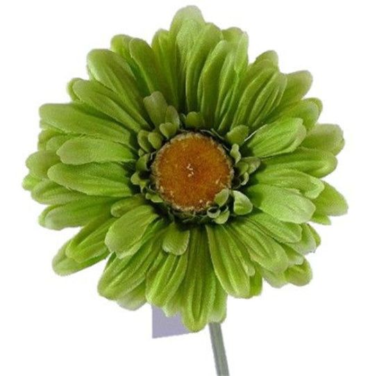 LIME GREEN GERBERA 21 INCH