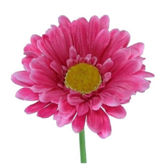 HOT PINK GERBERA 21 INCH