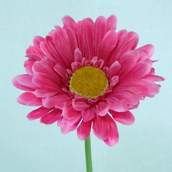 HOT PINK GERBERA 21 INCH