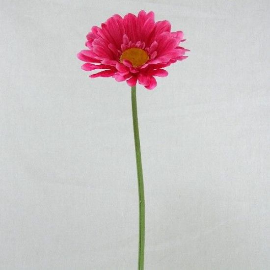 HOT PINK GERBERA 21 INCH