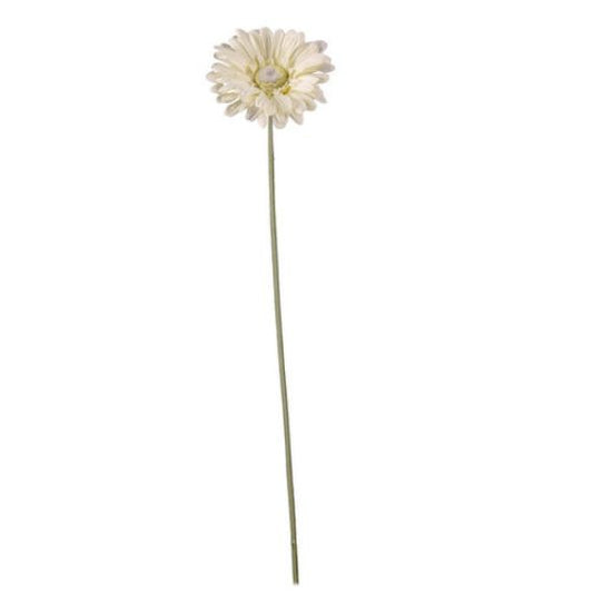 CREAM GERBERA 21 INCH