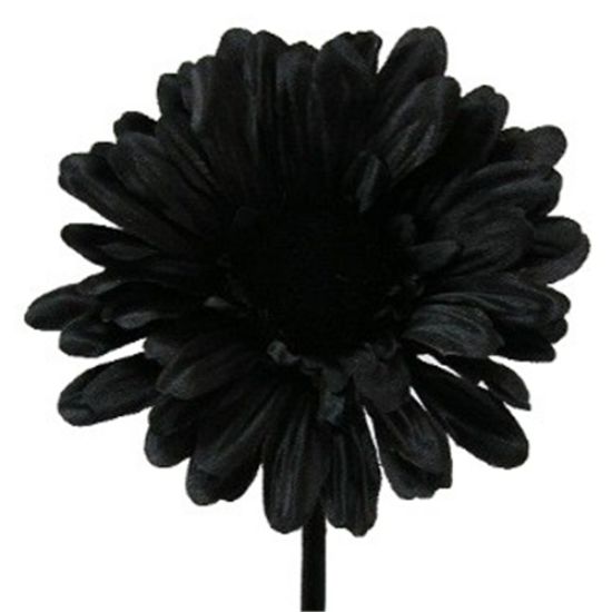 BLACK SINGLE GERBERA 21 INCH