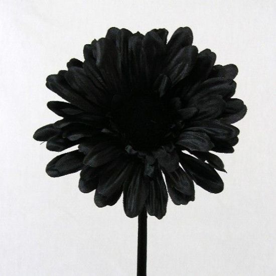 BLACK SINGLE GERBERA 21 INCH