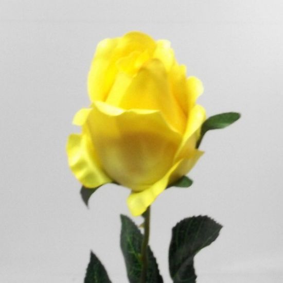 YELLOW SINGLE ROSEBUD 66cm