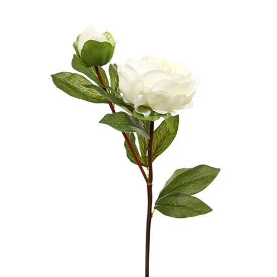 77cm IVORY LARGE PEONY SPRAY