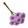 47cm LILAC MINI GERBERA BUNDLE (7 STEMS)