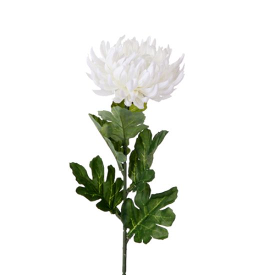 IVORY LARGE CHRYSANTHEMUM