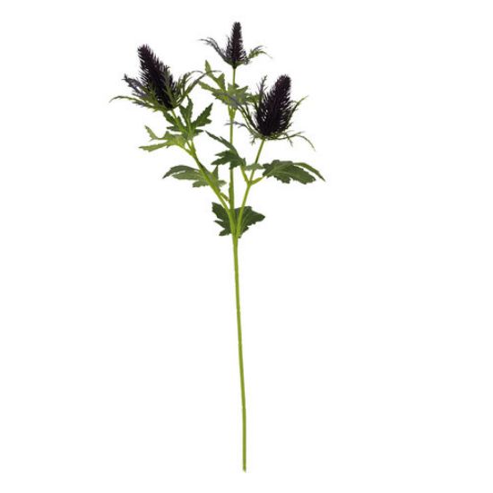 ERYNGIUM (SEA HOLLY) SPRAY 67cm - 2 colour options