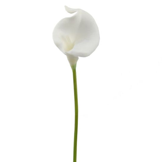 WHITE REAL TOUCH SINGLE CALLA LILY 38cm