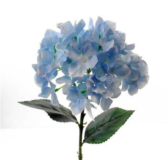 BLUE SINGLE HYDRANGEA 45cm