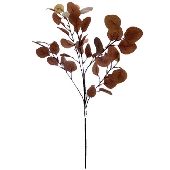 BROWN EUCALYPTUS SPRAY 85cm