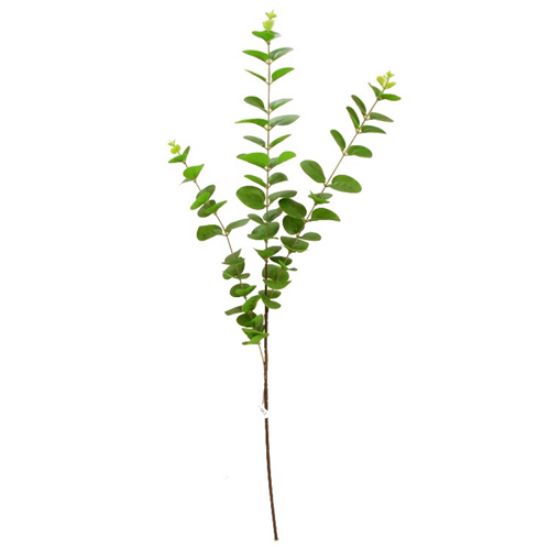 83cm EUCALYPTUS SPRAY GREEN