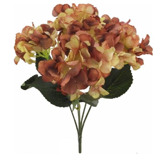 CREAM/BROWN HYDRANGEA BUSH 45cm