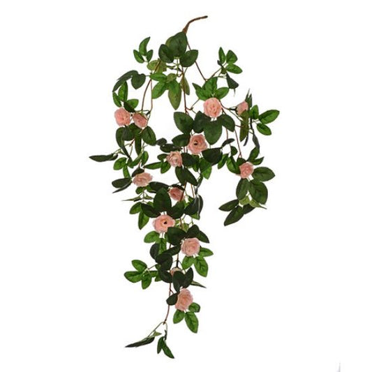 LIGHT PINK TRAILING MINI ROSE BUSH 60cm