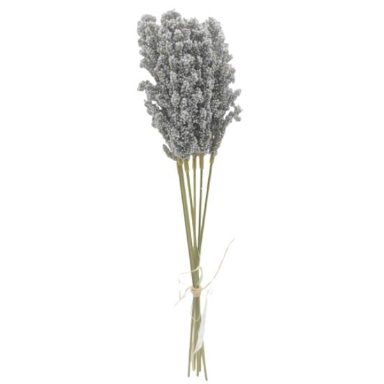 32cm GREY ASTILBE BUNDLE (6 STEMS)