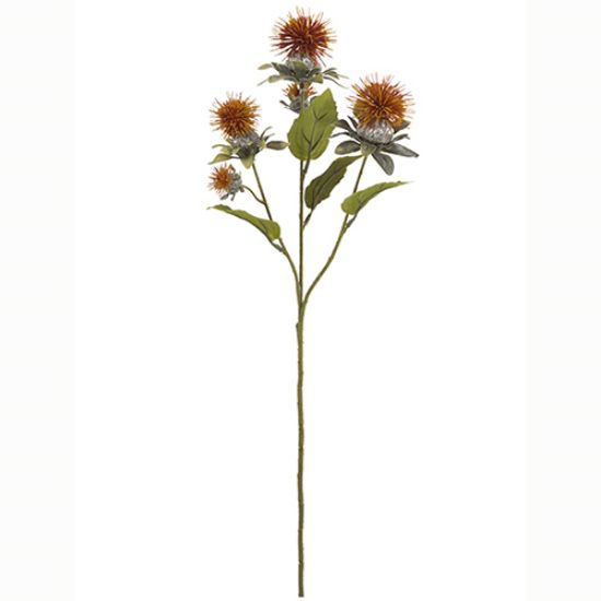 BURNT ORANGE THISTLE SPRAY 57cm