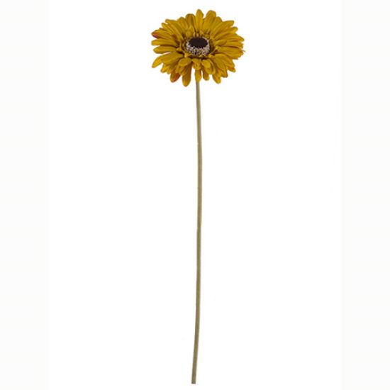 53cm DRY COLOUR MUSTARD SINGLE GERBERA