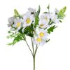 WHITE COSMOS BUSH 30cm