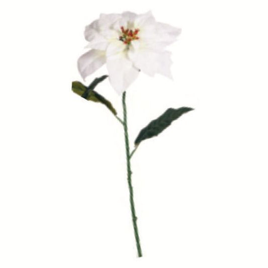 WHITE SINGLE POINSETTIA 62cm