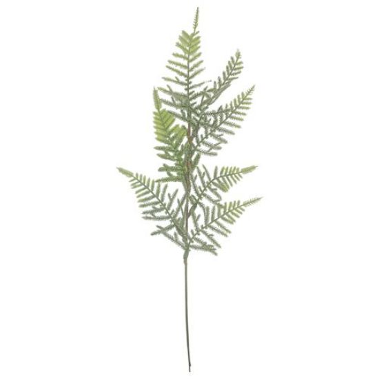 44cm TWO TONE GREEN ASPARAGUS LEAF SPRAY X6pcs