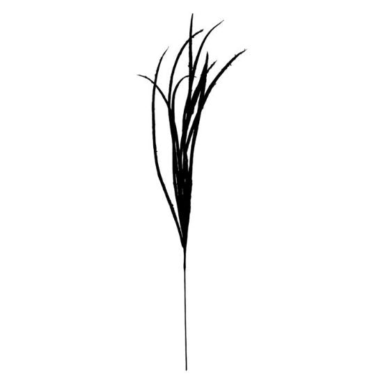 BLACK VELVET ONION GRASS SPRAY 80CM