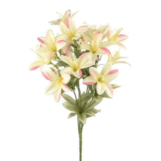 Yellow Pink Lily Bush 38Cm