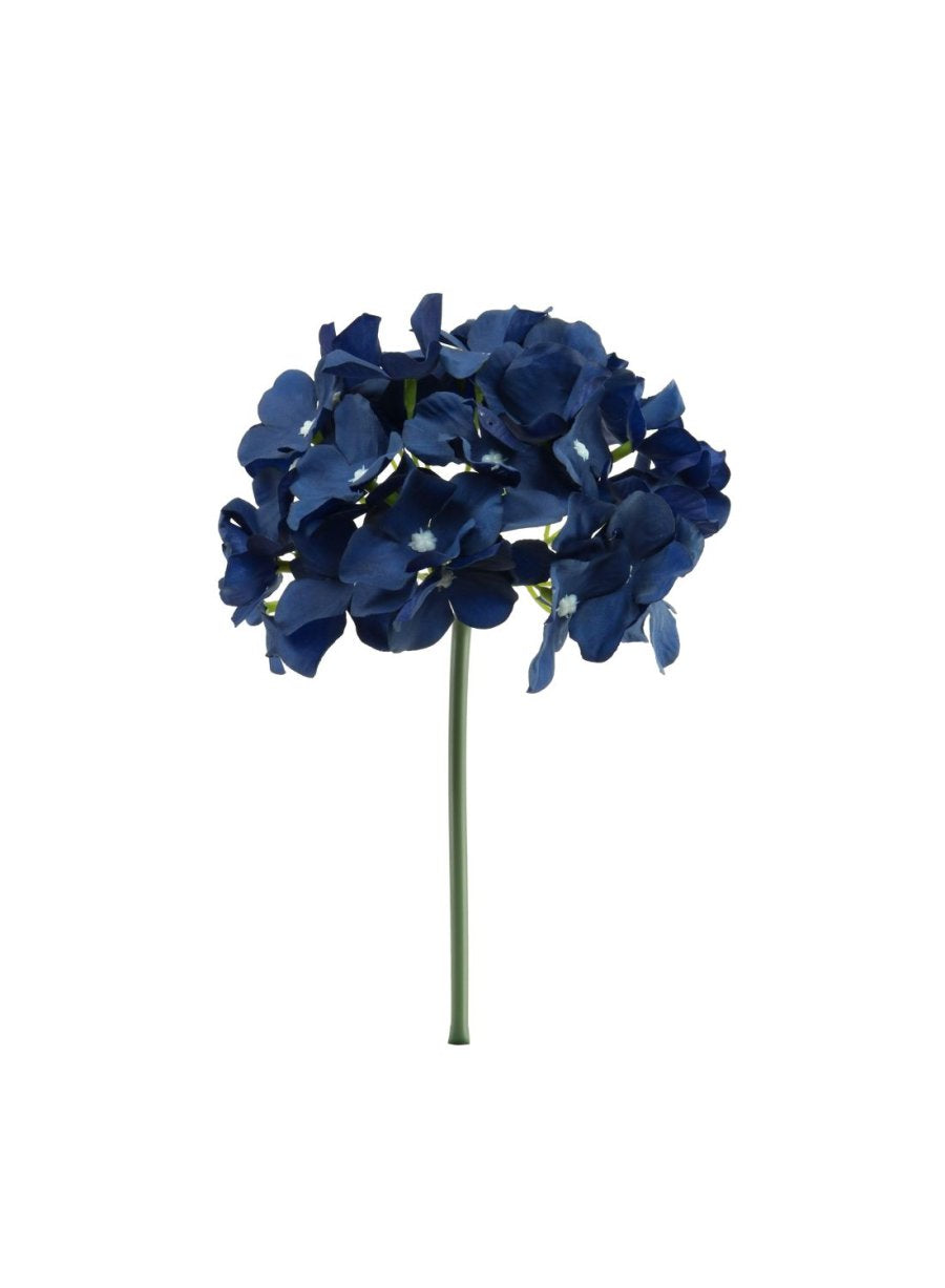 Royal Blue Hydrangea