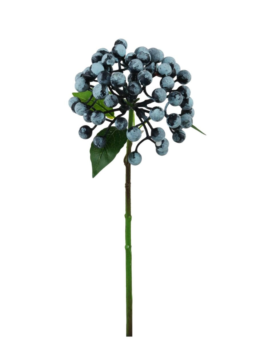 Blueberry Ball Berry Stem