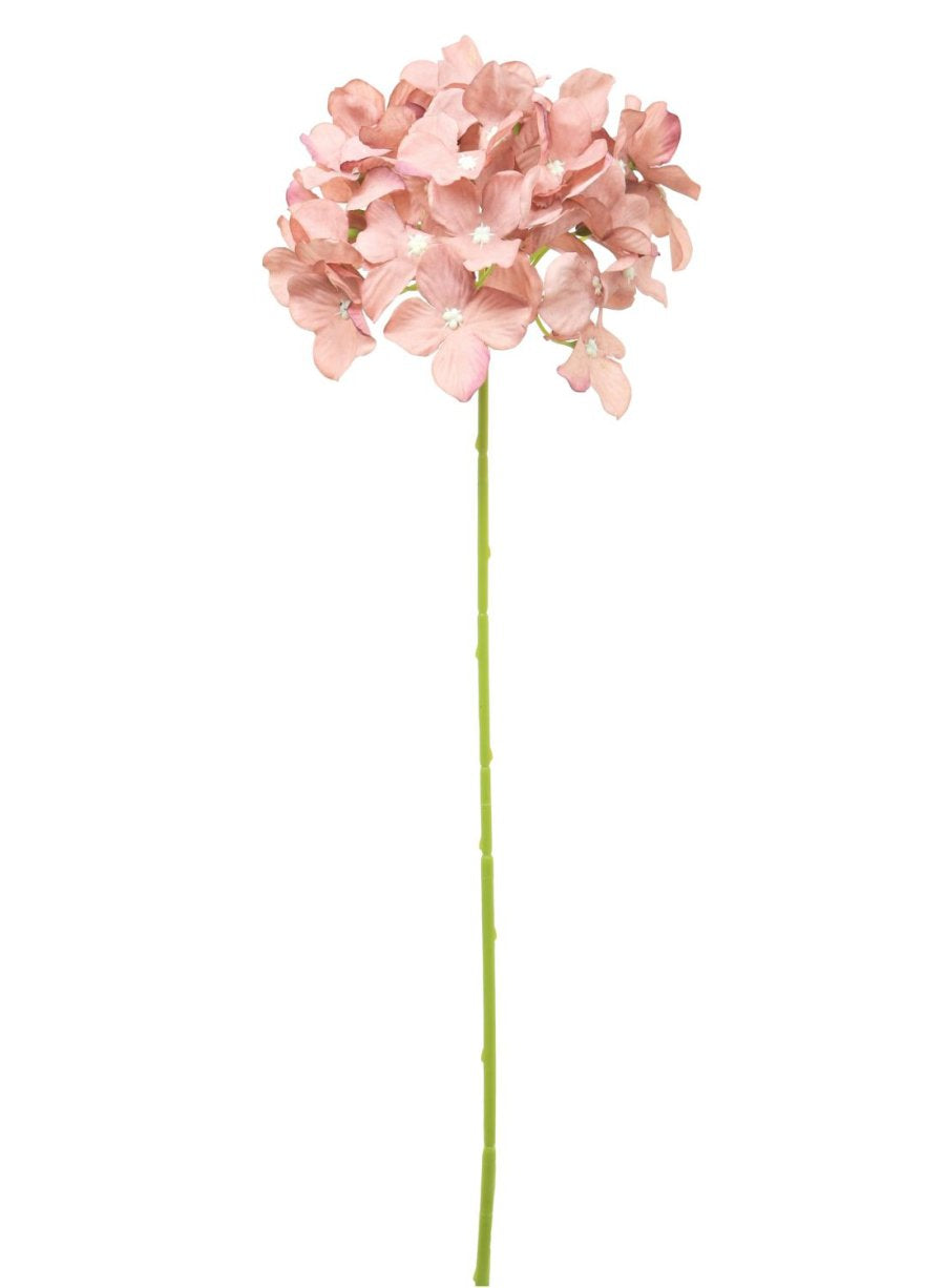 Hydrangea (Thin Stem)