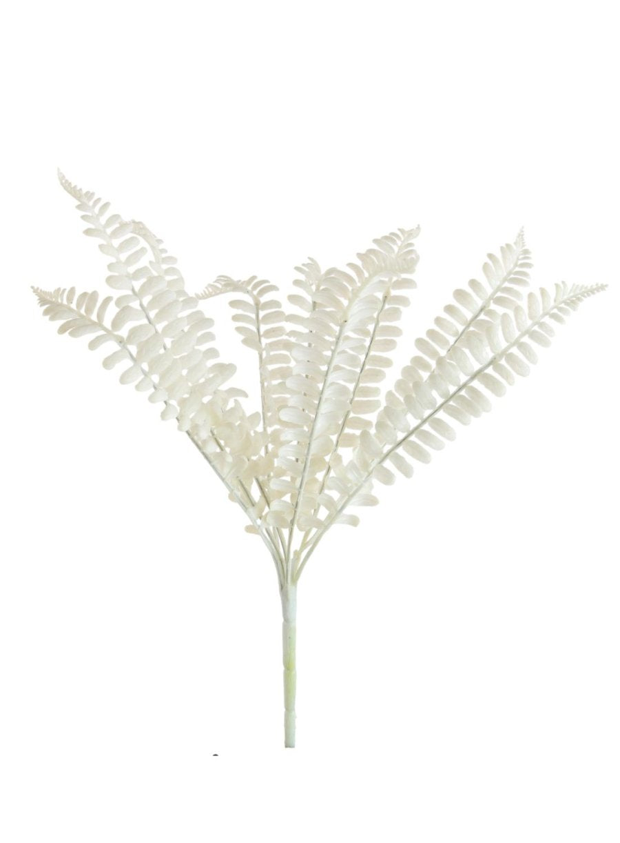 White Fern Bunch