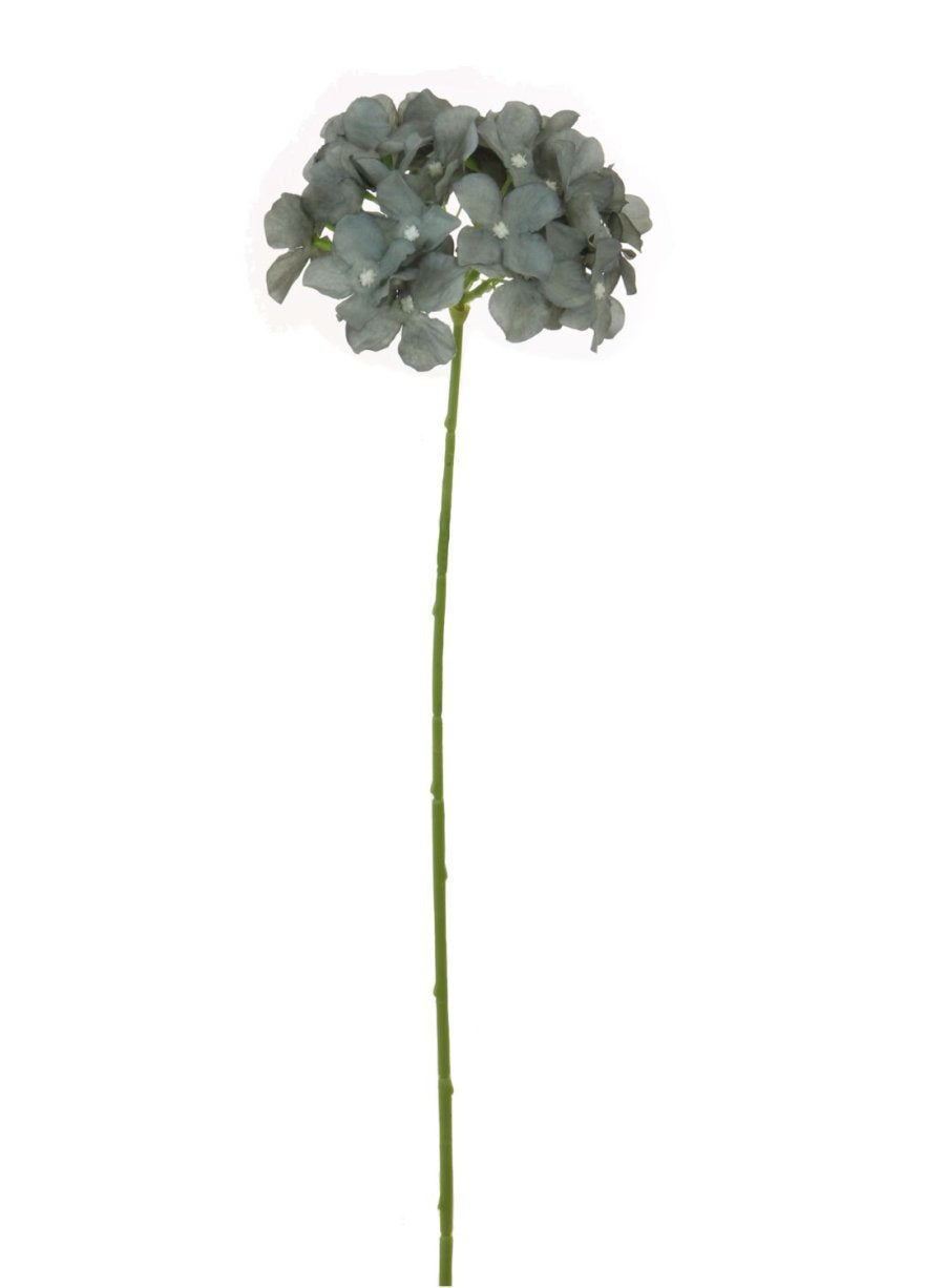 Hydrangea (Thin Stem)