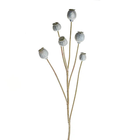 Grey Poppy Seed Head Spray 79cm