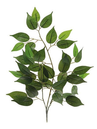 Ficus Branch Green 50Cm