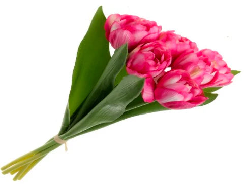 Pink Bi-Coloured Double Tulip Bundle x6 heads, 40cm