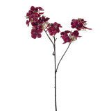 Hydrangea  Flower Spray Claret 61cm