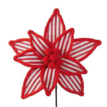 CANDY STRIPE POINSETTIA 26CM