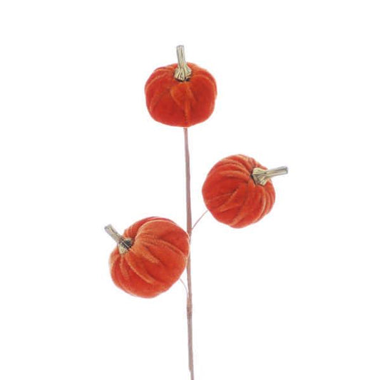 orange pumpkins on stem 31cm **PRE-ORDER ONLY